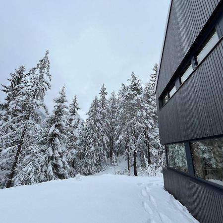 Chalet Dachstein Ramsau am Dachstein Dış mekan fotoğraf